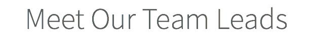Meet Our Team Leads